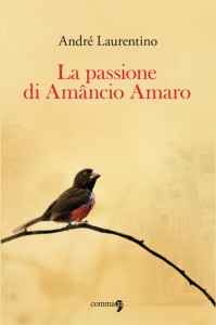 amancio amaro